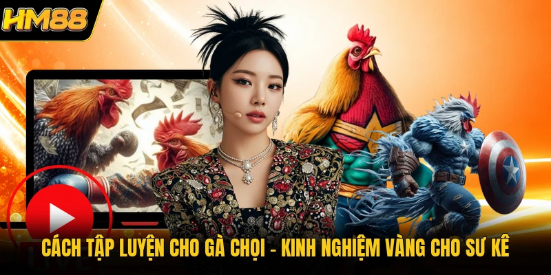 Cách Tập Luyện Cho Gà Chọi | Kinh Nghiệm Vàng Cho Sư Kê 2026 Cách Tập Luyện Cho Gà Chọi | Kinh Nghiệm Vàng Cho Sư Kê