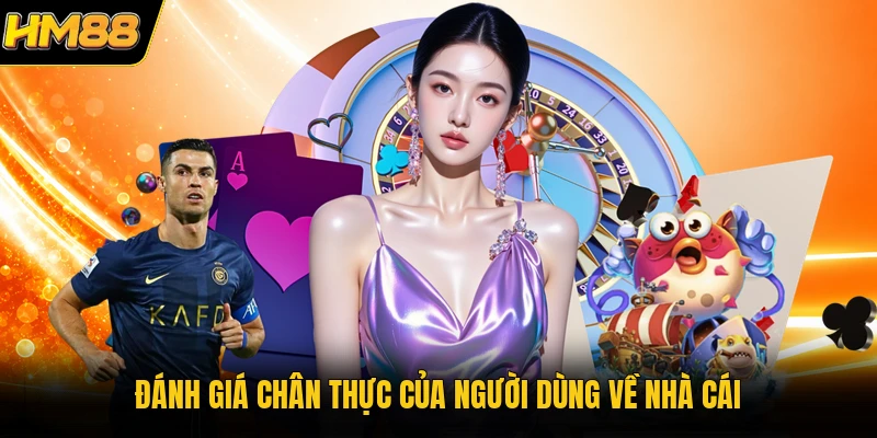 Đánh giá chân thực của người dùng về nhà cái