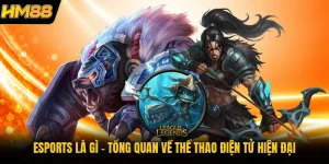 Esports Là Gì - Tổng Quan Về Thể Thao Điện Tử Hiện Đại