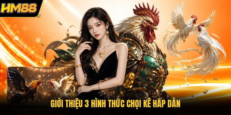 Giới thiệu 3 hình thức chọi kê hấp dẫn