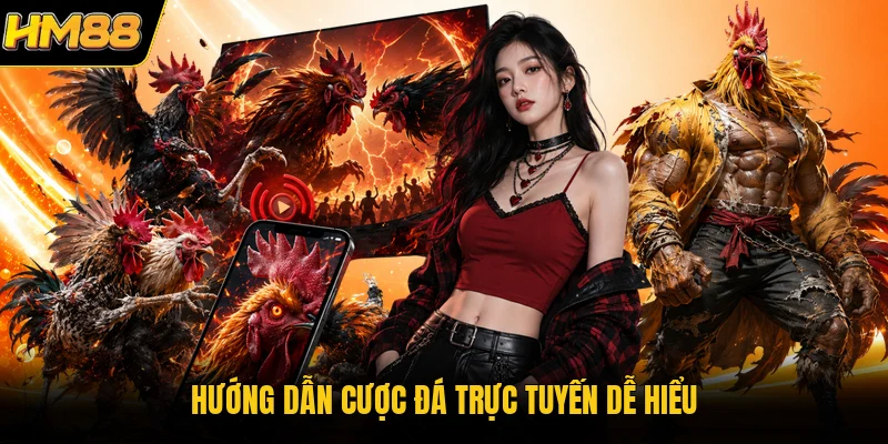 Hướng dẫn cược đá trực tuyến dễ hiểu
