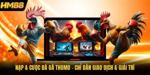 Nạp & Cược Đá Gà Thomo | Chỉ Dẫn Giao Dịch & Giải Trí