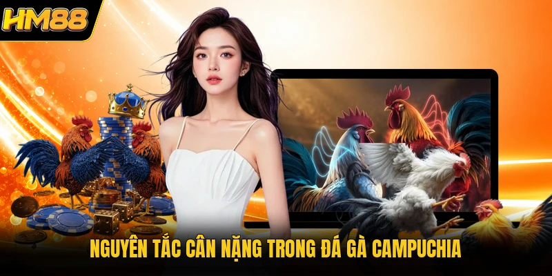 Nguyên tắc cân nặng trong đá gà Campuchia