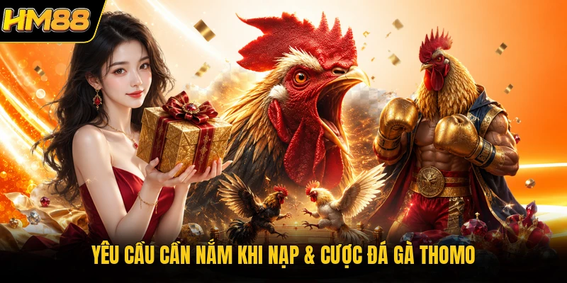 Yêu cầu cần nắm khi nạp và cược đá gà Thomo